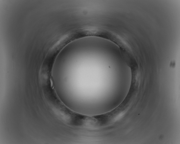 X0000093150215200709261452