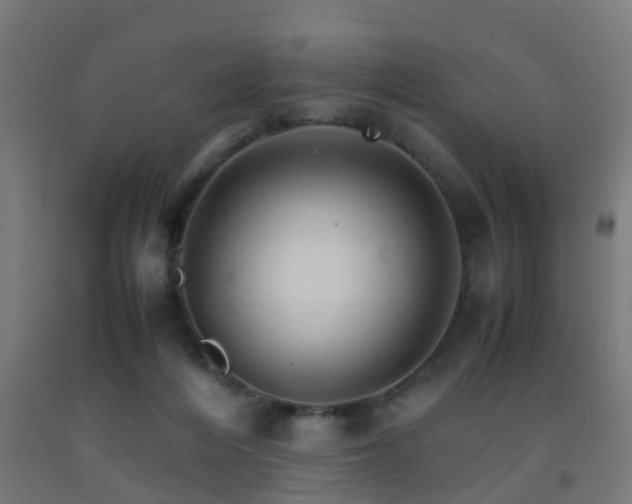 X0000093150216200709261452