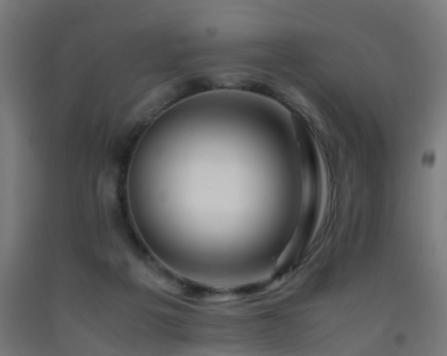 X0000093150217200709261452