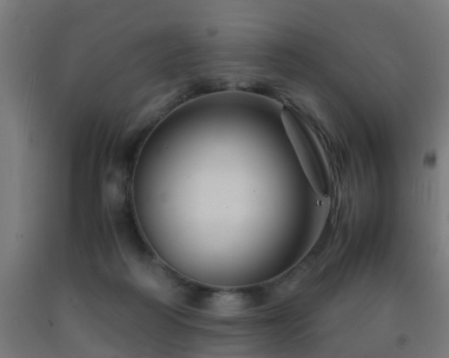 X0000093150218200709261452