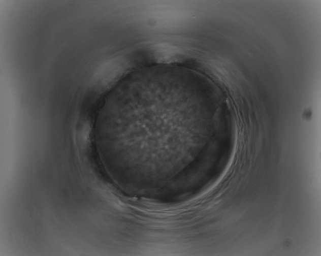 X0000093150219200709261452