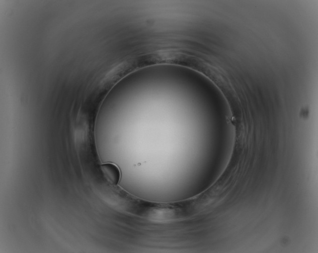 X0000093150220200709261452