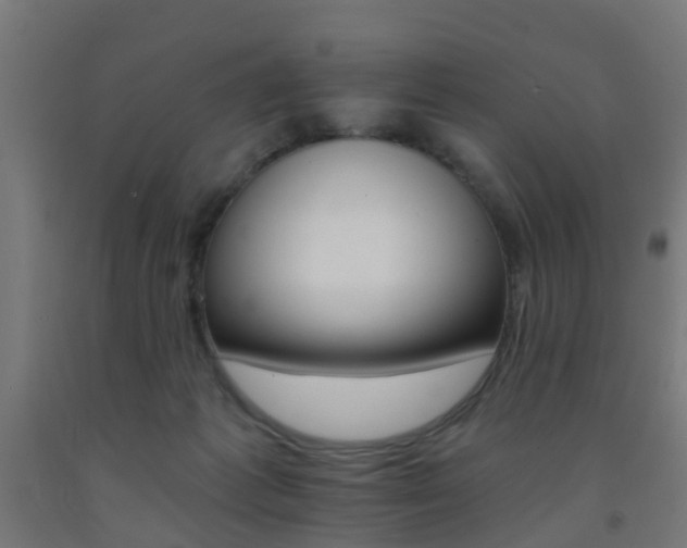 X0000093150221200709261452
