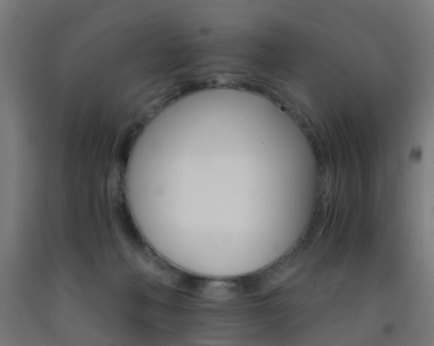X0000093150222200709261452