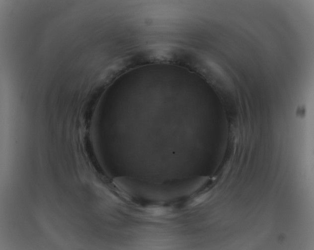 X0000093150223200709261452