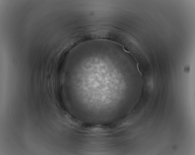 X0000093150224200709261452