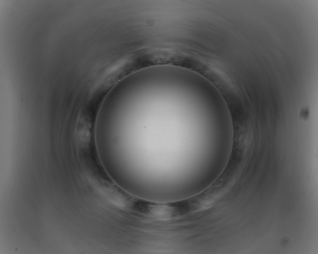 X0000093150226200709261452