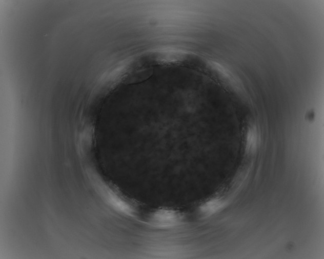 X0000093150227200709261452