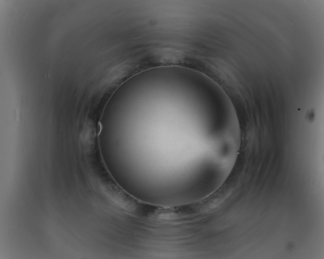 X0000093150228200709261452