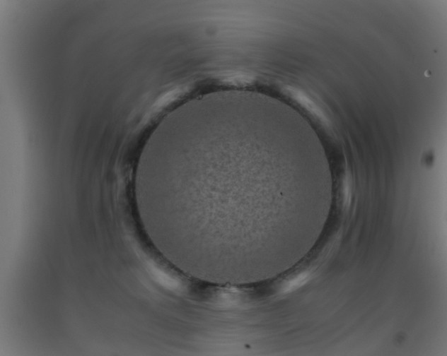 X0000093150229200709261452