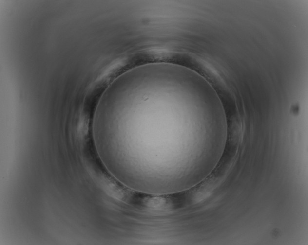 X0000093150230200709261452