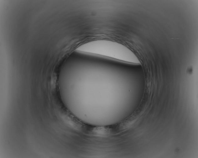X0000093150231200709261452