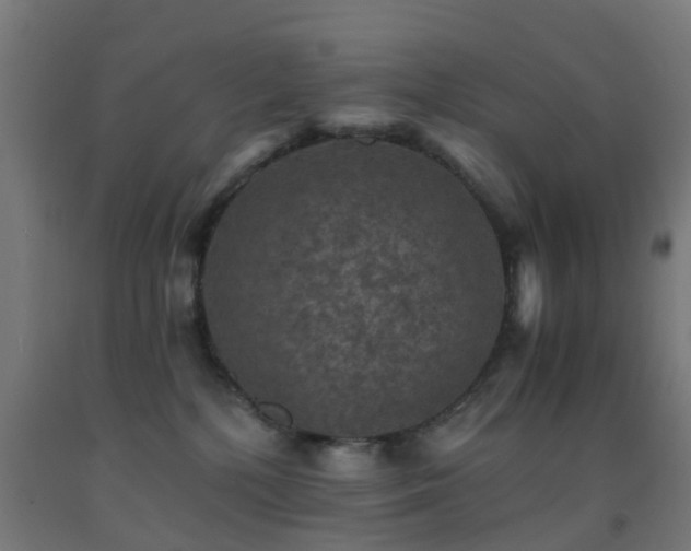 X0000093150232200709261452