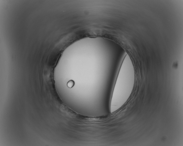 X0000093150233200709261452