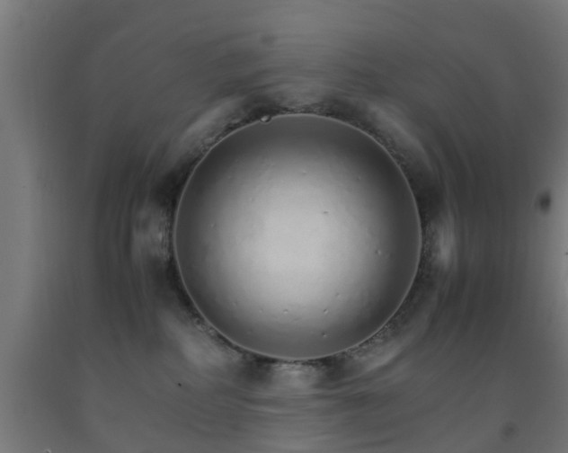 X0000093150234200709261452