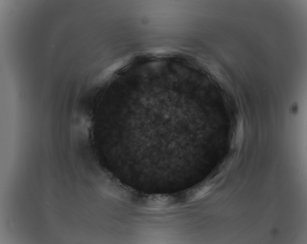 X0000093150235200709261452