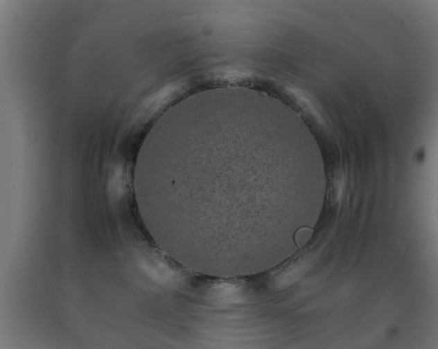 X0000093150236200709261452