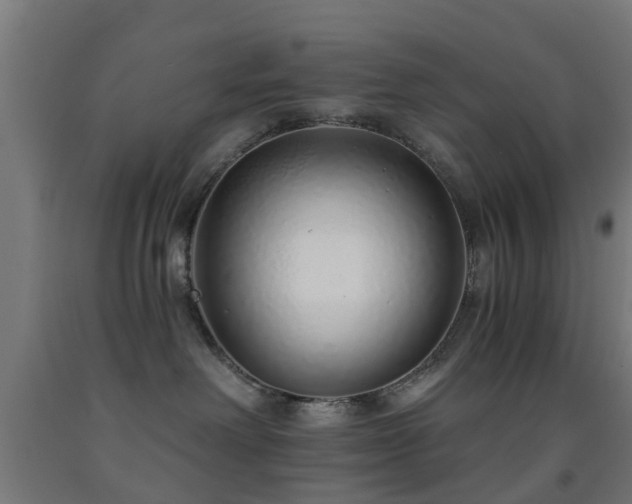 X0000093150238200709261452