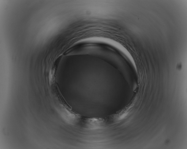 X0000093150239200709261452