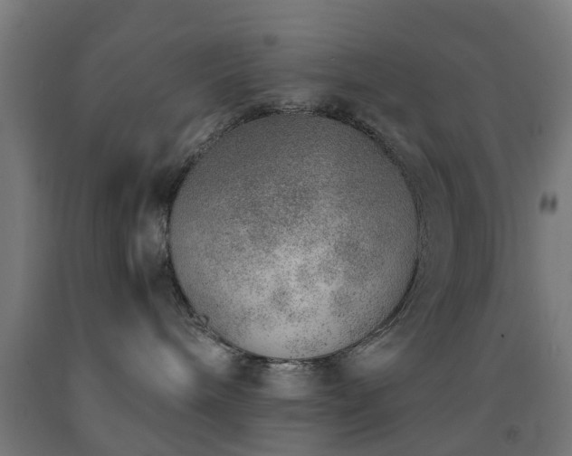 X0000093150240200709261452