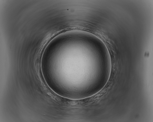 X0000093150241200709261451