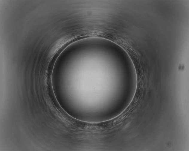 X0000093150242200709261451