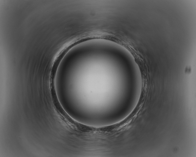 X0000093150244200709261451