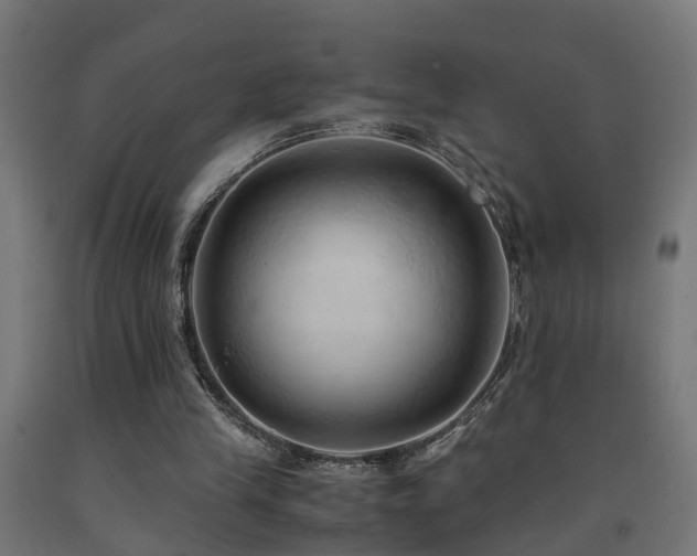 X0000093150245200709261451