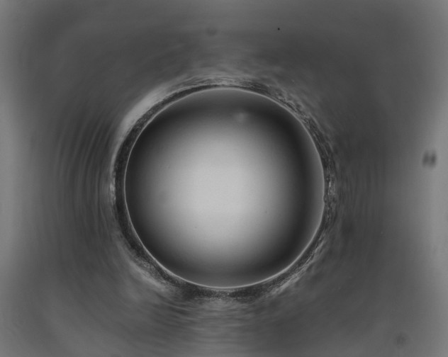 X0000093150246200709261451