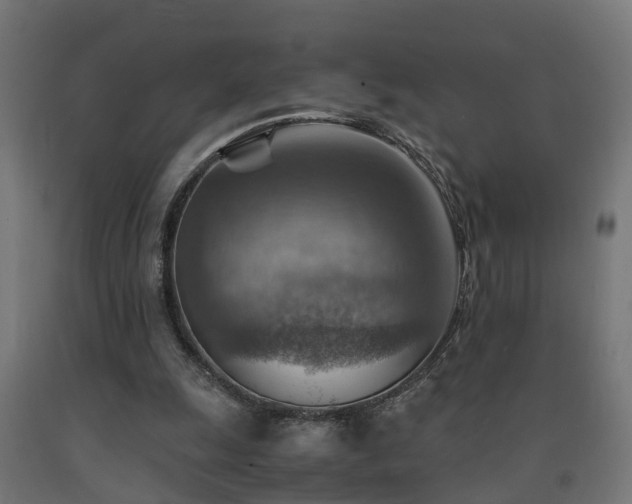X0000093150247200709261451