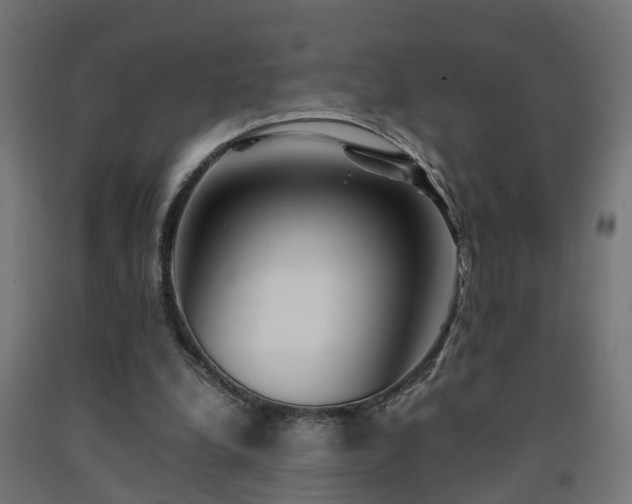 X0000093150248200709261451