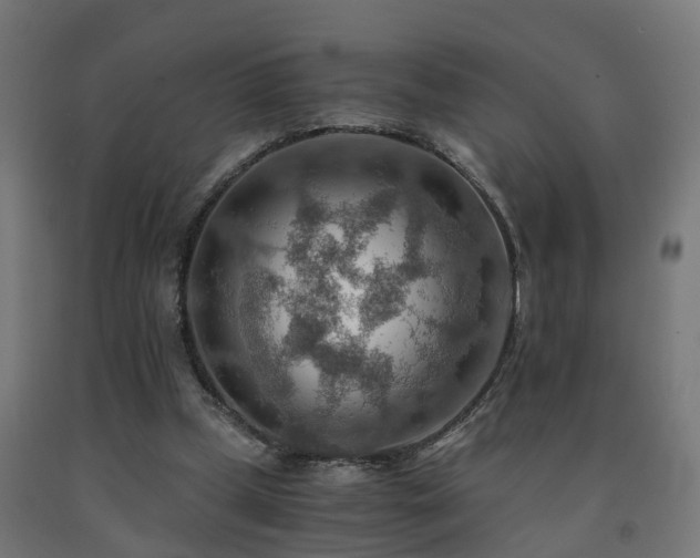 X0000093150249200709261451