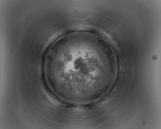 X0000093150250200709261451