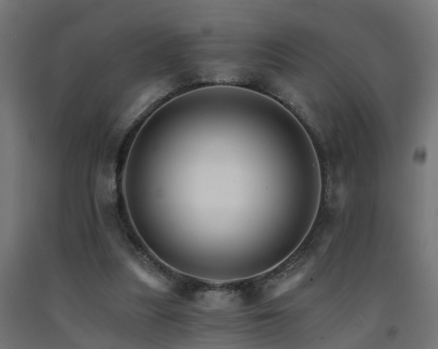 X0000093150251200709261451