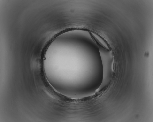 X0000093150252200709261451