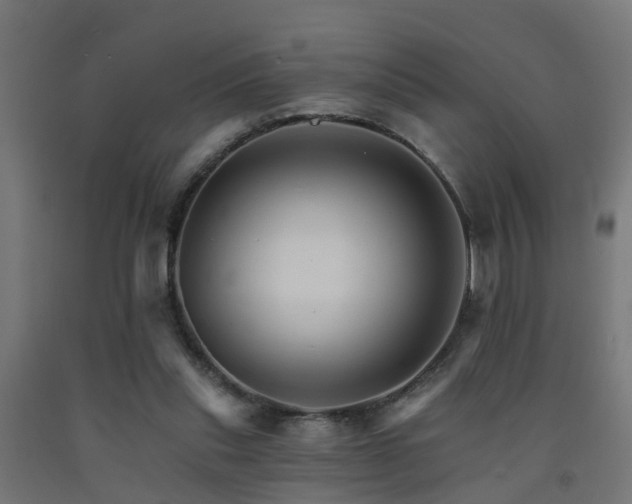 X0000093150253200709261451