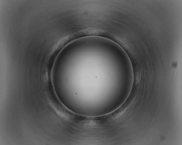 X0000093150254200709261451