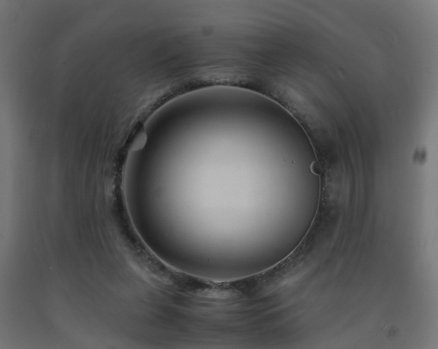X0000093150255200709261451