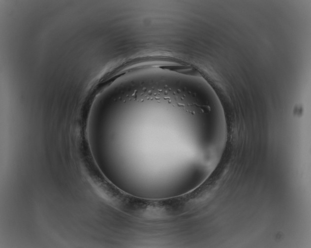 X0000093150256200709261451