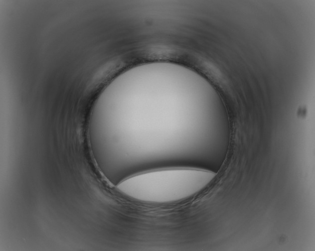 X0000093150258200709261451