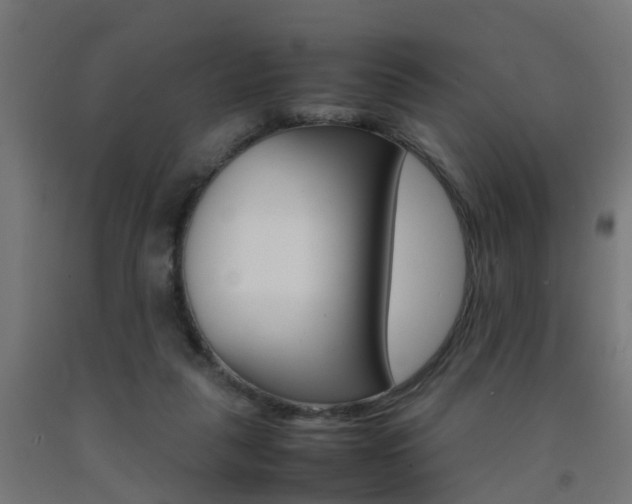 X0000093150259200709261451