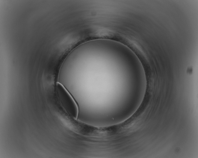 X0000093150260200709261451