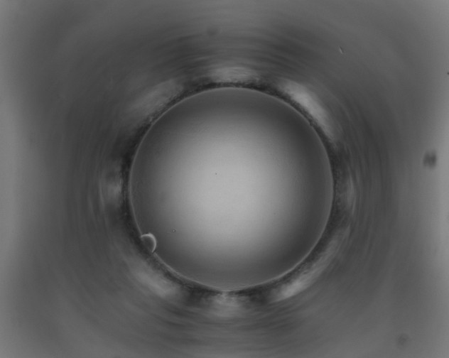 X0000093150261200709261451
