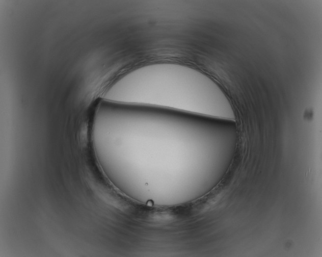 X0000093150262200709261451