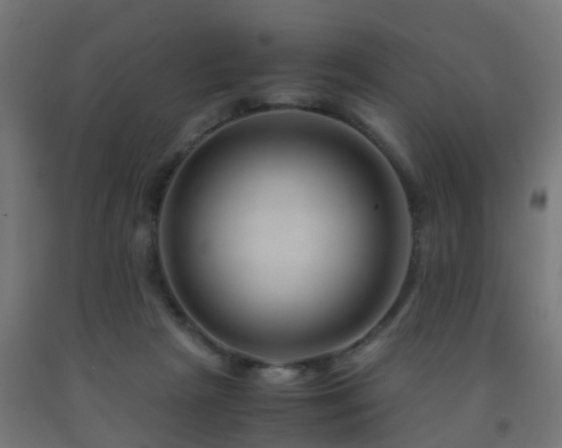 X0000093150265200709261451