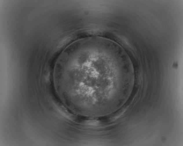 X0000093150266200709261451