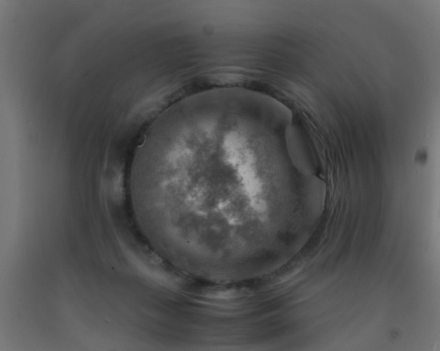 X0000093150267200709261451