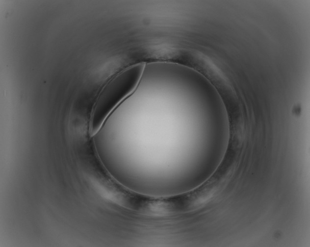 X0000093150268200709261451