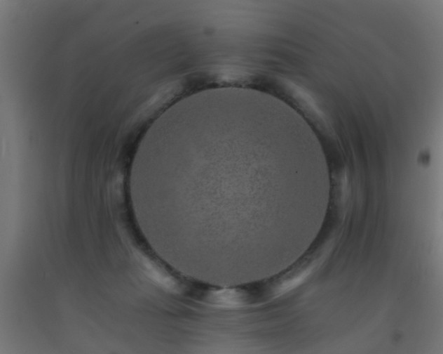 X0000093150269200709261451