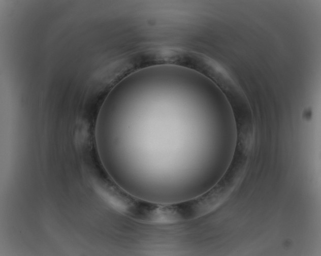 X0000093150270200709261451